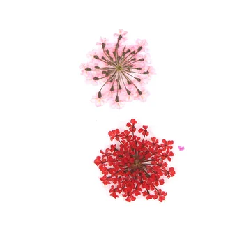 1 Cutie de Culoare Amestecat Unghii Flori Uscate Autocolante 3D Flori Uscate Modele Sfaturi DIY Decoratiuni de Arta Unghiilor Manichiura Accesorii