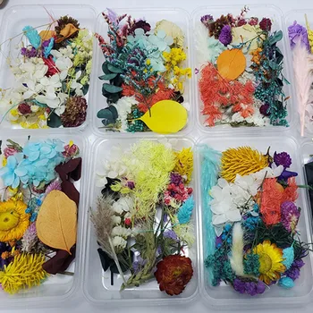1 Cutie plina de culoare Aleatoare Reale Flori Uscate, Plante Uscate Pentru a Face Ambarcațiunile de Flori Presate DIY Bijuterii Accesorii Home Deco