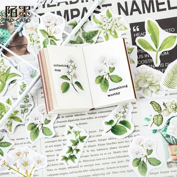 10 Cutii Decorative Gardenia Frunze de Adeziv Mo.Card De Sigiliu Autocolant Album Stick Eticheta Glonț Jurnalul Papetărie Drăguț