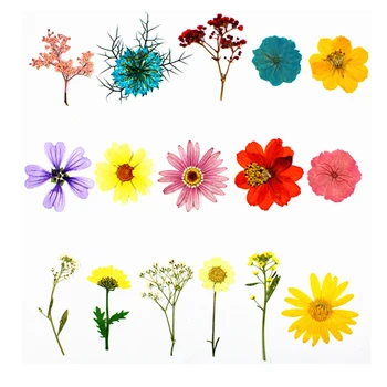 38pcs/lot,Naturale Presate flori petale de colectare,Veșnică petale DIY invitatie de Nunta semn de carte Carte,Flores Faciale Decor