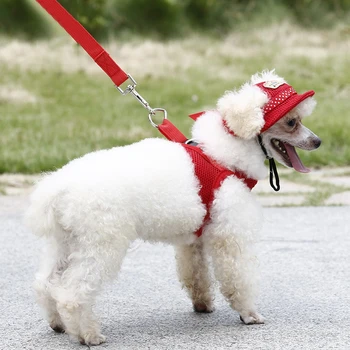 Câinele Capac Cu Ureche Găuri pentru Câini de talie Mică Pânză Capac Câine de Baseball pe Plaja Cozoroc Pălărie Cățeluș în aer liber Cap Frizură Accesorii de Câine Capace