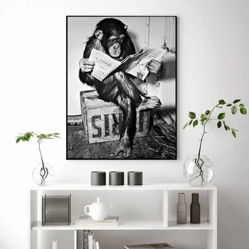 Diamant Pictura Alb-Negru Maimuță Arta de Perete Poster Living Imagine Pentru Decor Acasă