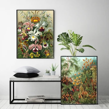 Ernst Haeckel Flori Poster Colaj Botanică Print Decorativ De Imprimare Pictura Pe Perete Decor Scandinav Imagine Decor Acasă