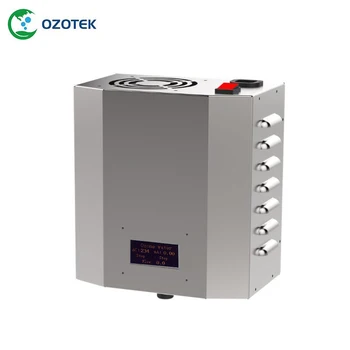OZOTEK ozon générateur se toarnă trinkwasser deux004 110 V/220 ro opțiunea de 1,0-3,0 PPM freies verschiffen
