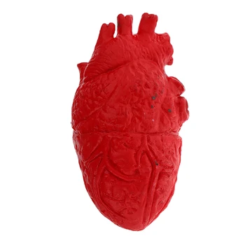 Realiste Inima Omului Model-Atelier Parte a Corpului Organe de Halloween de Groază Prop Decoratiuni Școală de Laborator Consumabile Student Jucărie 16cm
