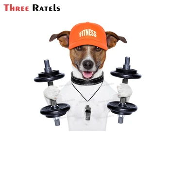 Trei Ratels A95 Jack Russell Terrier Autocolante Pentru Bmw E90 Accesorii Auto Decor Anti Scratch Film De Vinil