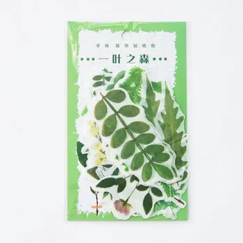 1 Pachet (40 buc autocolante) Pădure Verde, Frunze Decorative Autocolante Pastă de Etanșare Stick Eticheta