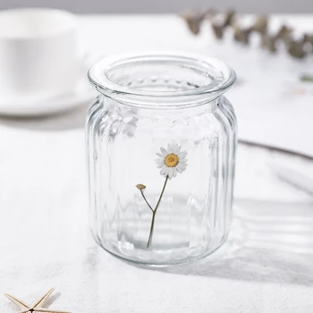 18 Modele Drăguț DIY Naturale Daisy Clover Cuvinte Japoneze Autocolante PET Transparent Material Flori Frunze Plante Autocolante Deco