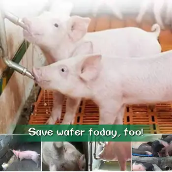 5Pcs din Oțel Inoxidabil de Porc Biberon Adapatorilor Automate Anti-stropi de Animale Bautori Cu Filtru de Echipamente de Animale de Fermă Furnizori