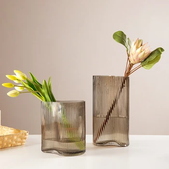 Nordic creative val simplu Vaza de Sticla Decor camera de zi aranjament floral masa de flori uscate hidroponice mare