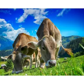Pictura De Numere Vacile Mananca Iarba DIY Animale de Mână, Pictură în Ulei Cadou Pentru Copii Adulti De Kituri de Decor Acasă Pășuni Peisaj