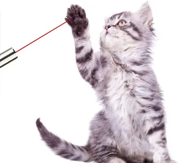 Pisica Jucarii pentru Interior Cat Dog Chaser Jucarii Interactive Pisoi animale de Companie de Formare Pisica Stârni Jucărie Gatos Productos Para Mascotas Cat Laser