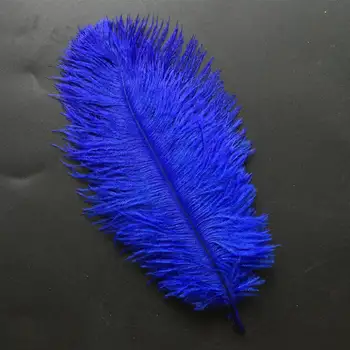 10buc/multe Pene de Strut DIY dream catcher pene de bijuterii a face meserii Haine de Nunta de Decorare plumas accessories15-30cm