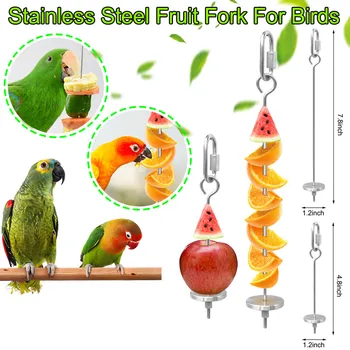 Bird Food Titularul Fermelor De Păsări Din Oțel Inoxidabil Papagal Legume Fructe Stick Titularul De Căutare A Hranei Jucărie Pasăre Trata Băț 20#50