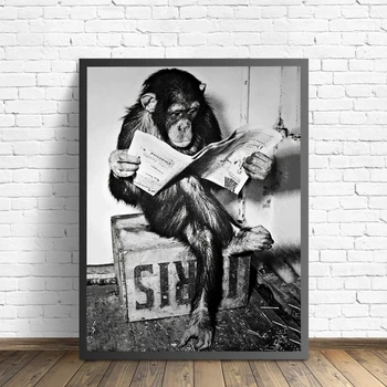 Diamant Pictura Alb-Negru Maimuță Arta de Perete Poster Living Imagine Pentru Decor Acasă