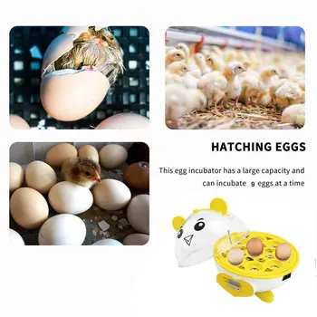 Drăguț Mini 9 Oua Incubator De Incubație Brudere Manual Egg Incubator Digital Al Temperaturii Reglabil Hatcher