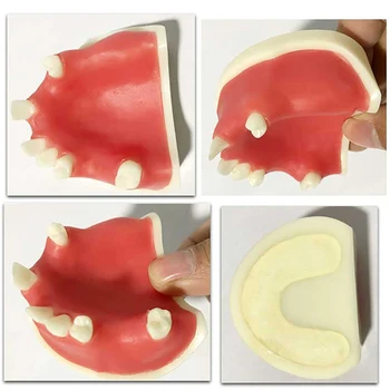 Implant dentar stomatologic model orală material practică sinusului maxilar consumabile dentare instrumente de instrumente de gumă moale