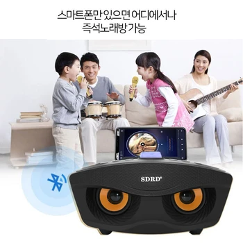 SD306 Portabil Familie Karaoke Sistem de Două Microfoane fără Fir Cu 20w Stereo Bluetooth Speaker Condensator Microfon Karaoke