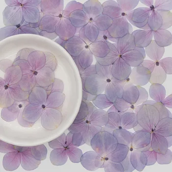 60pcs DIY Flori Uscate Real Floare Presat Flori Naturale Primare de Culoare Violet Hortensie Picătură de Lipici Bijuterii Handmade