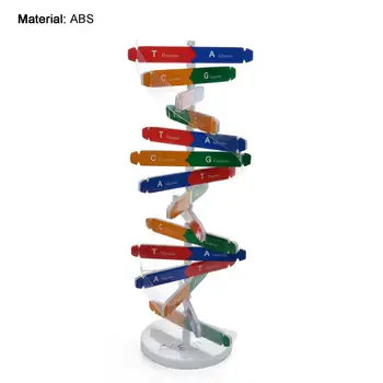 ADN-ul Modelelor Structura Dublu Helix de Predare-Învățare Educație Jucărie ABS Dublu Helix DIY Gene Umane pentru Științe Biologice