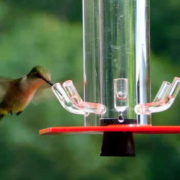 Colibri Alimentatoare Curte În Aer Liber Agățat Alimentator De Pasăre Transparent Wild Bird Feeder Cârlige De Design Foișor Colibri Feeder