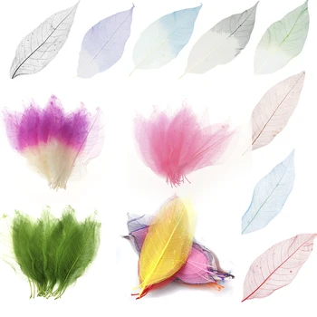 Delicate Frunze Cu Aspect De Schelet Ornamente 50 De Bucăți Albe Culori