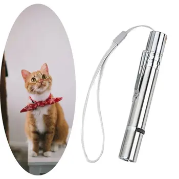 Din Oțel inoxidabil Amuzant Pisica Stick Cu Coarda USB Reîncărcabilă LED Lumină Roșie Pointer Pix Cat Instrumente de Formare