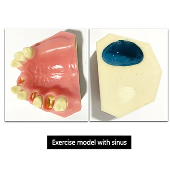 Implant dentar stomatologic model orală material practică sinusului maxilar consumabile dentare instrumente de instrumente de gumă moale