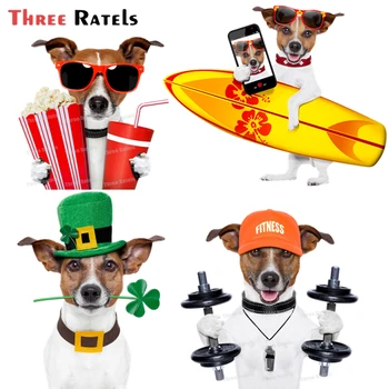 Trei Ratels A95 Jack Russell Terrier Autocolante Pentru Bmw E90 Accesorii Auto Decor Anti Scratch Film De Vinil
