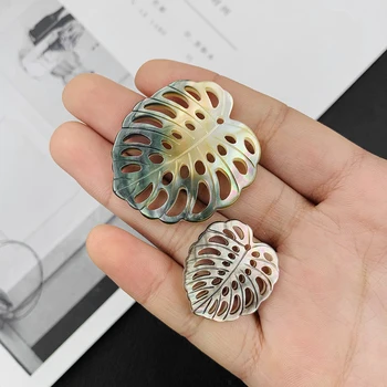 1 BUC Naturale Abalone Shell Charm Pandantiv Frunza de Coajă Șirag de mărgele de Sidef DIY Face Cercei Colier Constatările de Bijuterii Accesorii