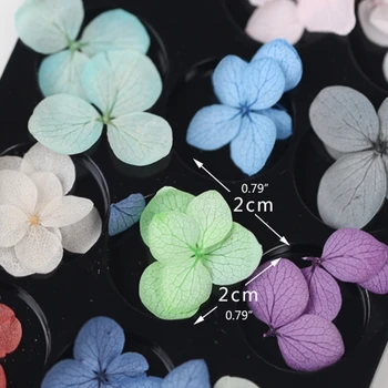 100 Buc Real Flori Uscate Naturale, Flori Uscate Kit pentru DIY Lumânare a Face Săpun de Luare de Bijuterii Rășină Face Decoruri
