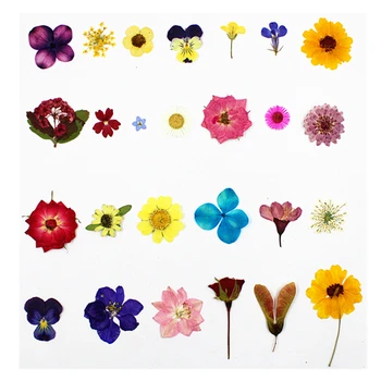 38pcs/lot,Naturale Presate flori petale de colectare,Veșnică petale DIY invitatie de Nunta semn de carte Carte,Flores Faciale Decor