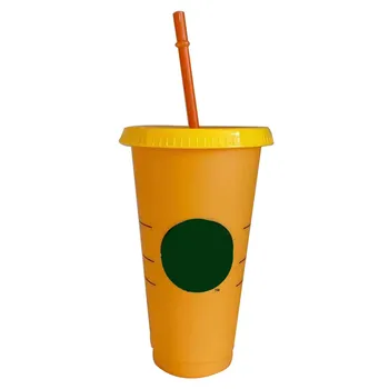 710ml/700/473ml Paie Cupa Cu Capac Cu Logo-ul de Culoare Schimbare Ceașcă de Cafea Reutilizabile Pahare Tumbler Finisaj Mat Reutilizabile Taza De Cafenea