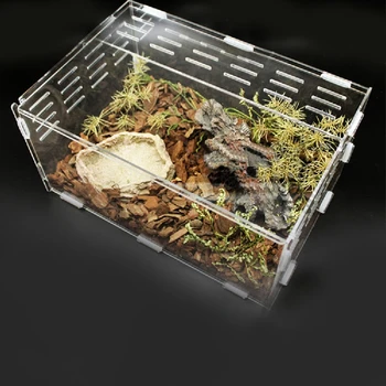 Acril Transparent Reptile Cutie Pentru Păianjeni Broască Țestoasă Alunecare Șopârlă Cutie De Insecte Terariu De Insecte Vents Reproducere Animal De Companie Mic Cutie
