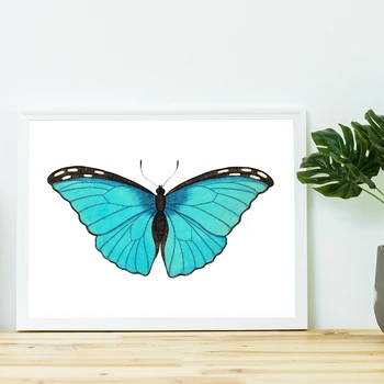 Fluture Ilustrare de Învățământ Graficul Postere si Printuri Decor Camera pentru Copii Insecte Epocă Arta Panza Pictura Decor Acasă