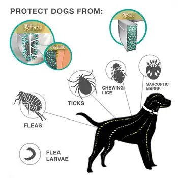 Guler De Câine Rezistent La Apa Ulei Esential Natural De Câine De Companie Insecte Pest Repeller Bifați Purici Țânțar Respingător Dăunătorilor Guler 8 Luni Protecție