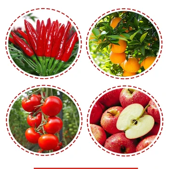 Legume Îngrășământ Suplimentar Nutriția Plantelor Rosii Homobrassinolide Extins Fructe Rapidă Înrădăcinare pentru Casa Gradina de Bonsai
