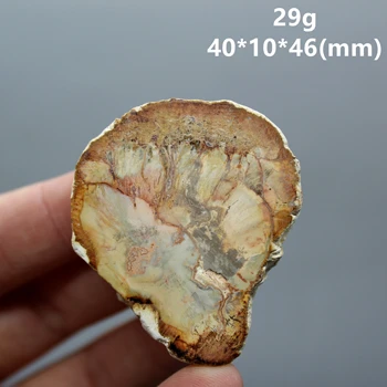 Naturale Paleontologice Fosili fosilifere, Decor Lemne silicifiate Copac Jad Ceașcă de Ceai Mat Fosili, minerale-Specimen