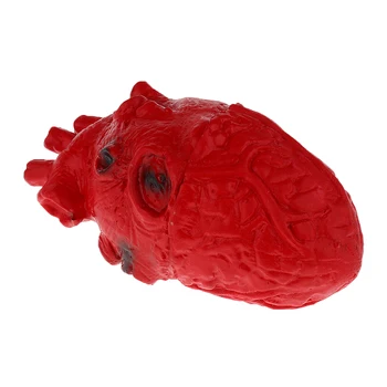 Realiste Inima Omului Model-Atelier Parte a Corpului Organe de Halloween de Groază Prop Decoratiuni Școală de Laborator Consumabile Student Jucărie 16cm