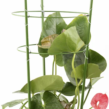 ZD 45cm 60cm Plante cu Flori Clematis Alpinism Rack Suport Raft Casa Gradina Consumabile