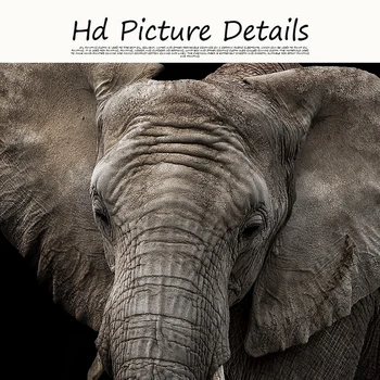 Alb și negru Salbatice Africa Animale de Artă Elefant Panza Pictura Postere si Printuri Cuadros de Arta de Perete Poza pentru Living Deco